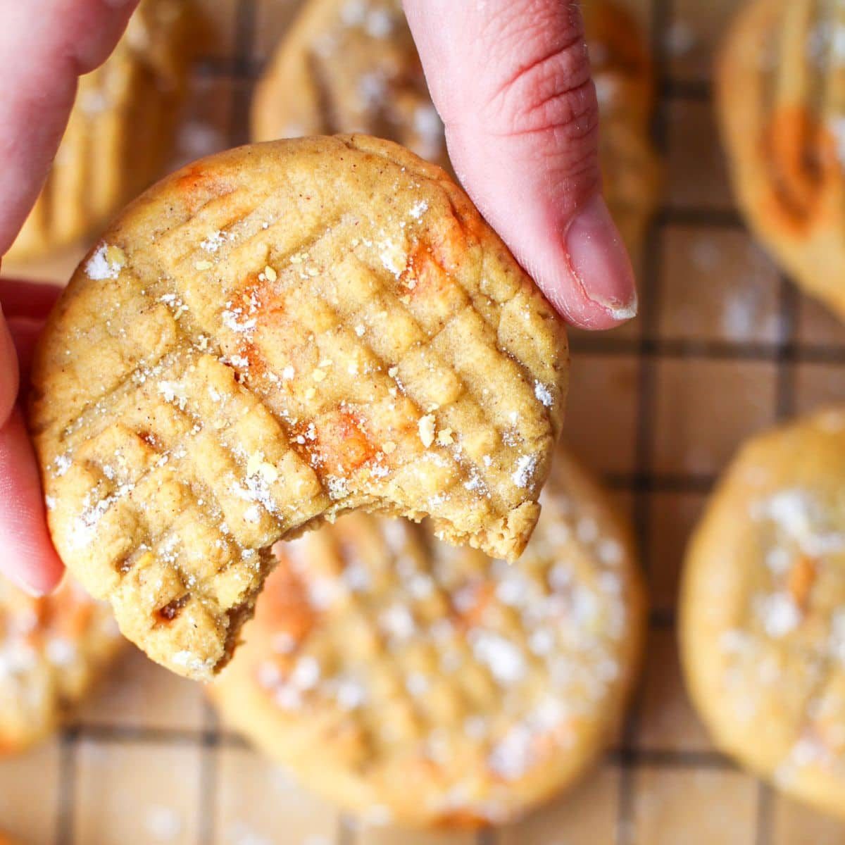 Air Fryer Pumpkin Butter Cookies