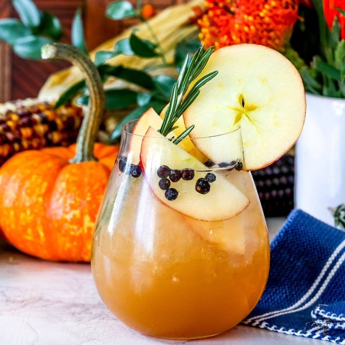 Apple Cider Gin and Tonic