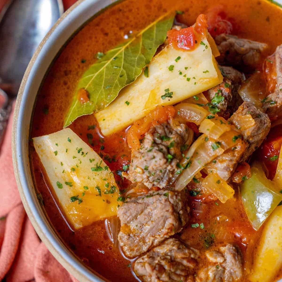 Beef and Parsnip Stew