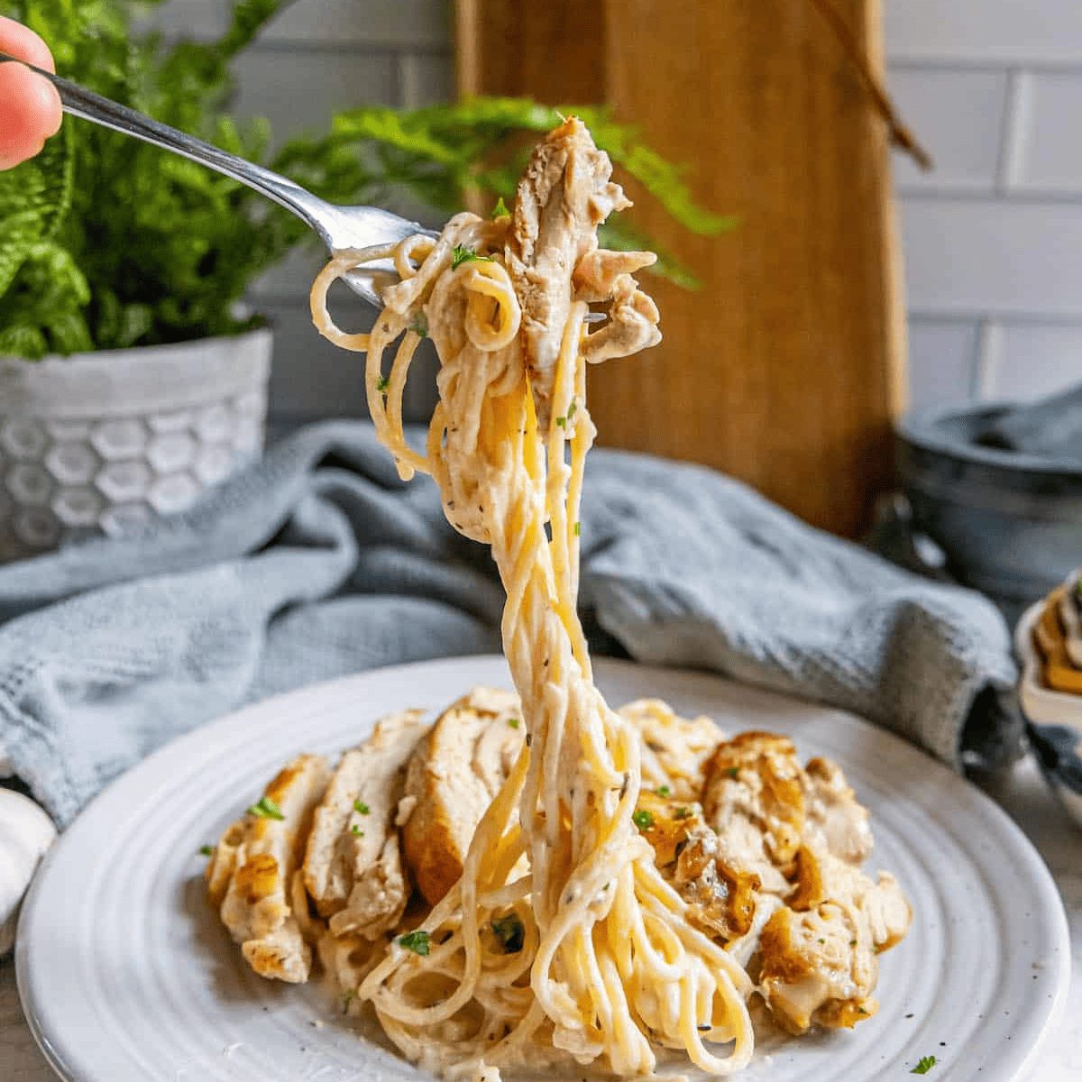Chicken Alfredo