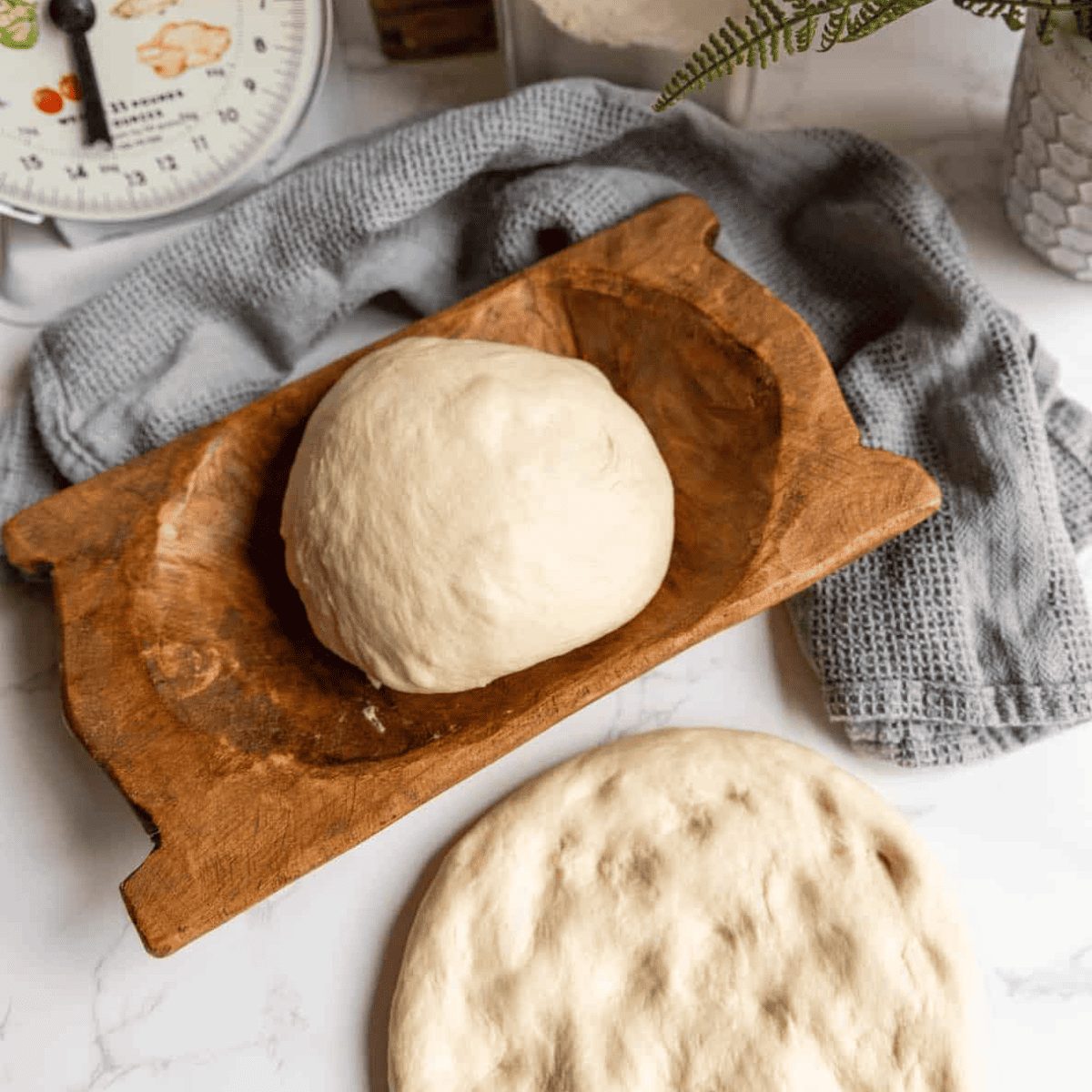 Pizza Dough