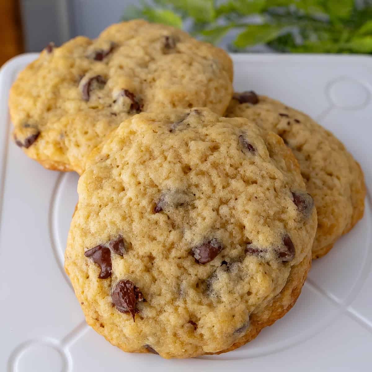 Sourdough Discard Chocolate Chip Cookies