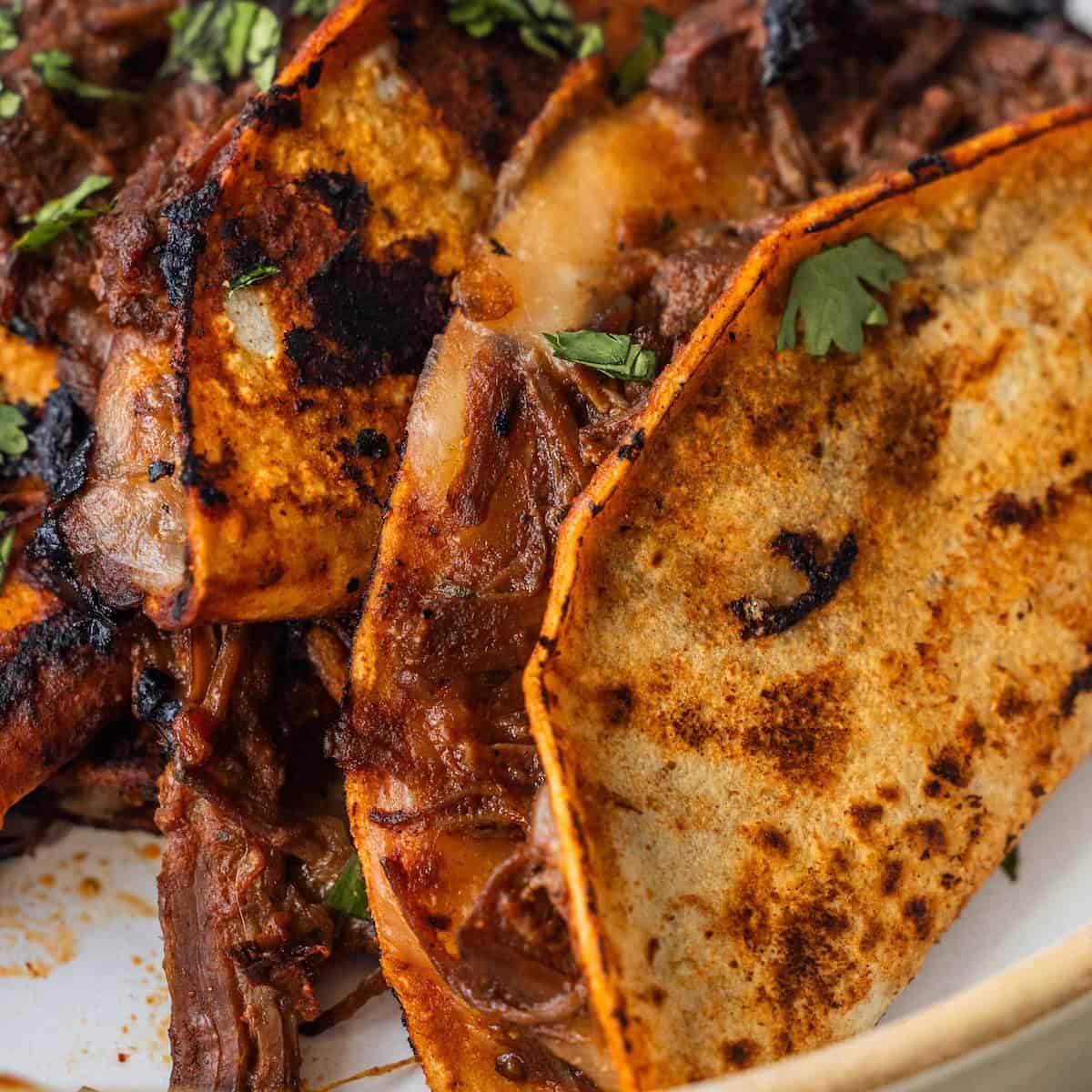 Birria Tacos