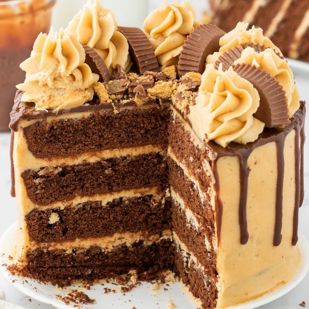 Chocolate Peanut Butter Layer Cake