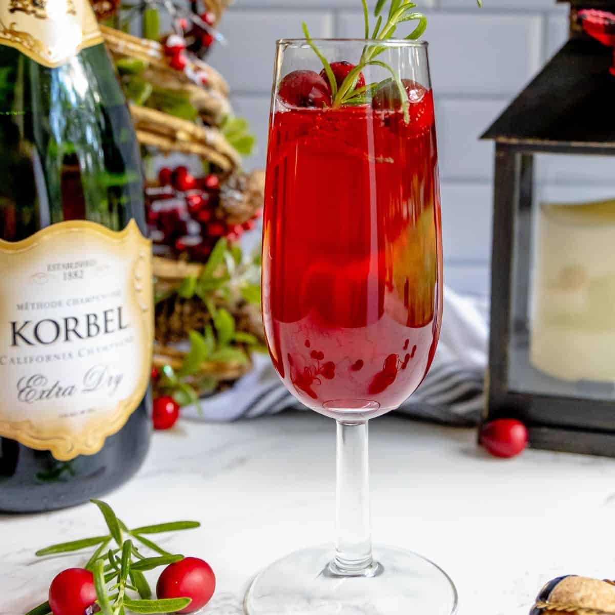 Cranberry Champagne Sparkler