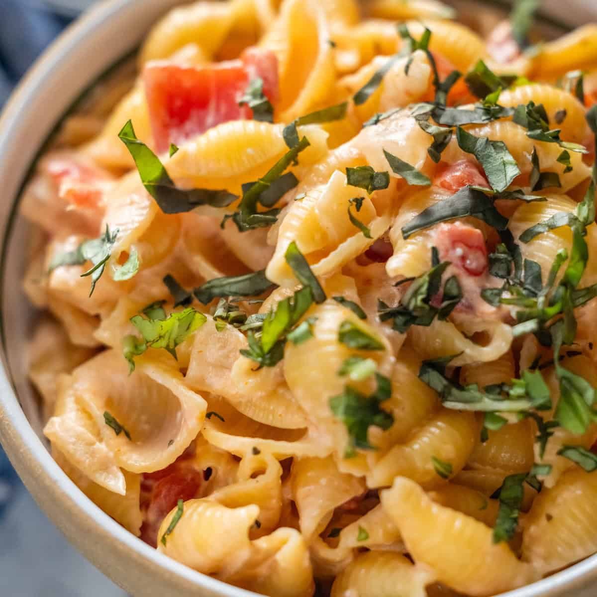 Creamy Tomato Orichette