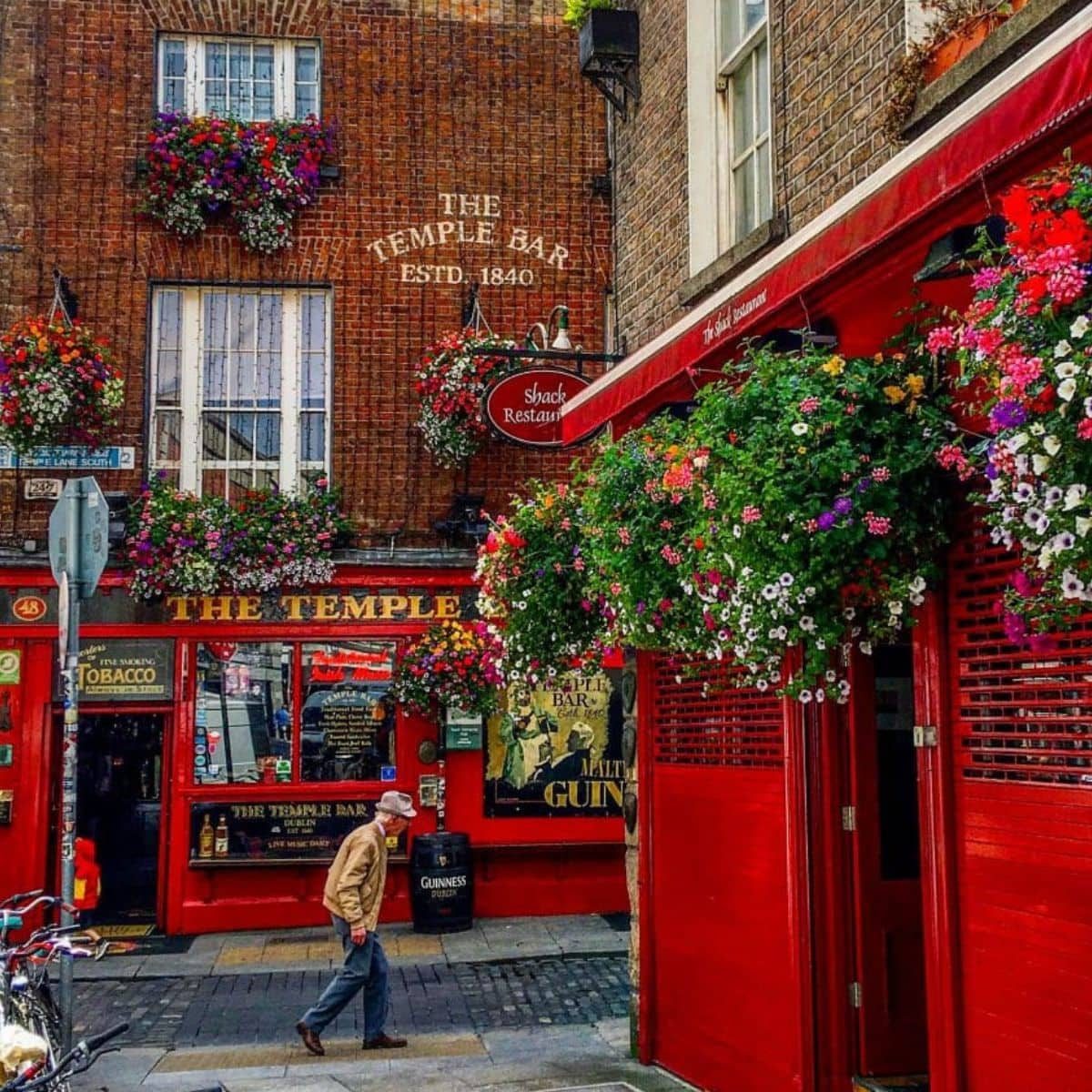 Dublin in a Day: Make Your Own Shore Excursion