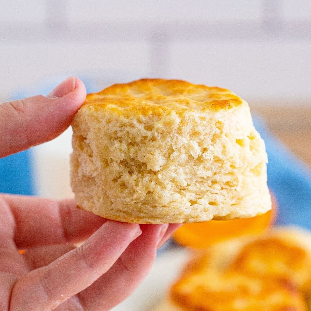 Buttermilk Biscuits