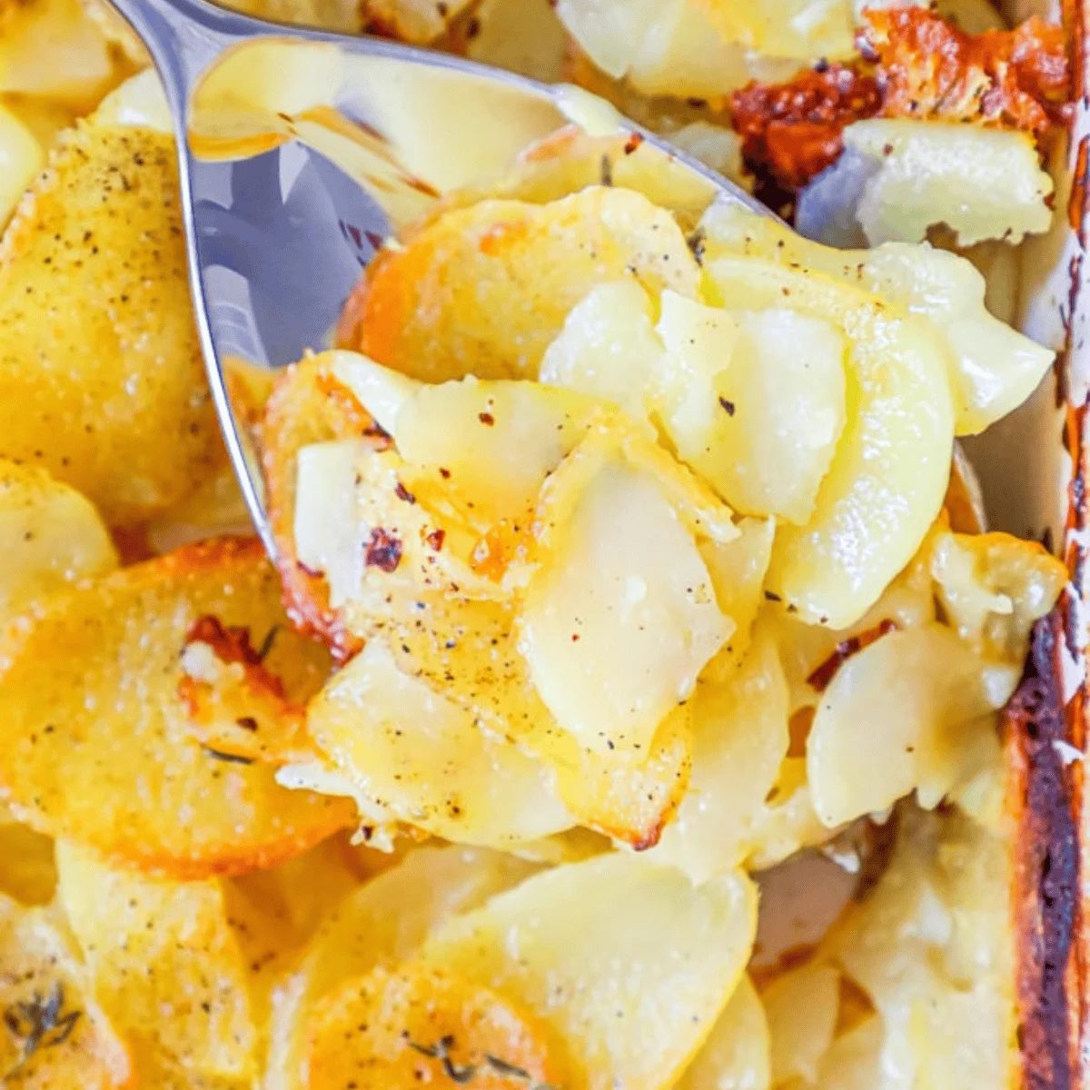 Cheesy Scalloped Potatoes