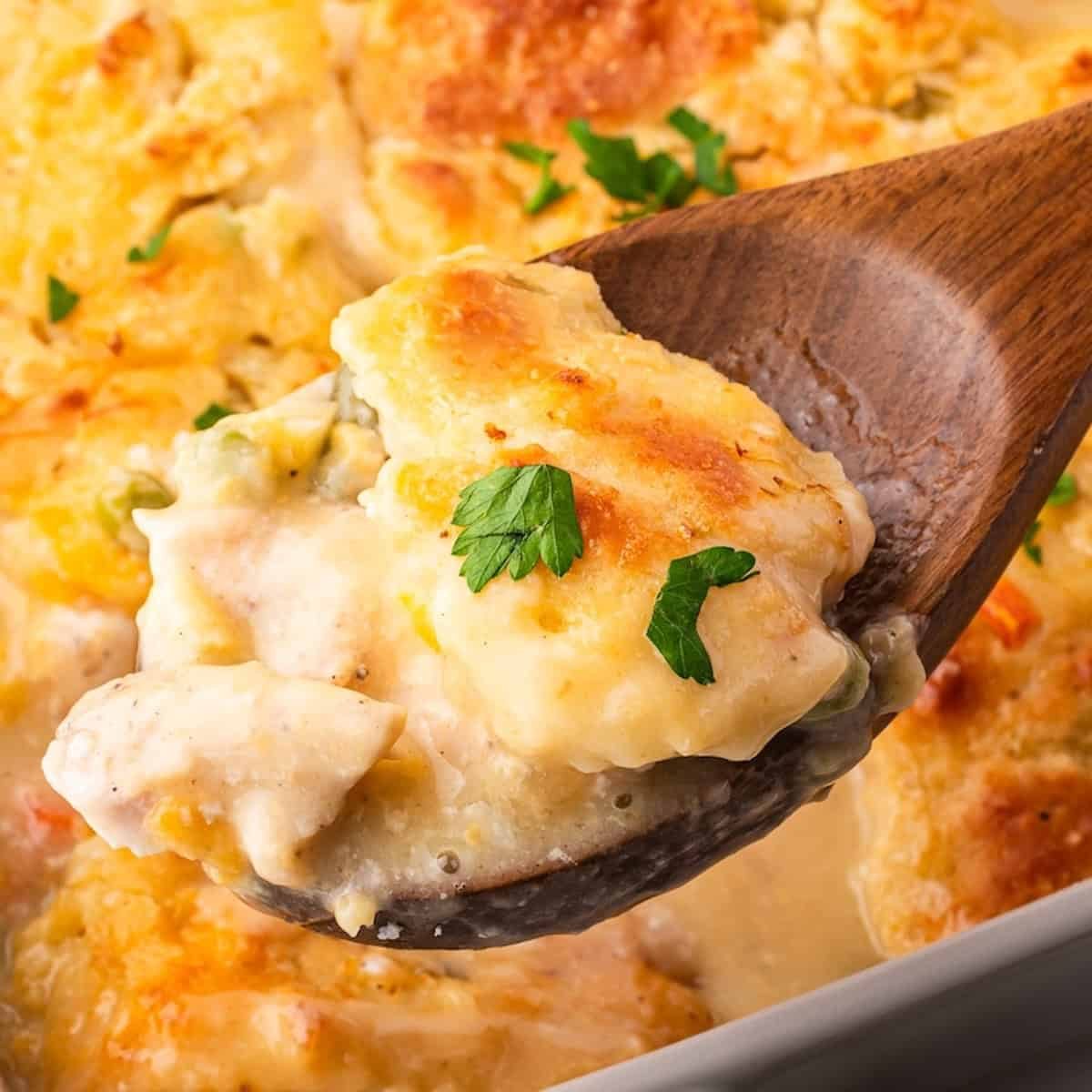 Chicken Dumpling Casserole
