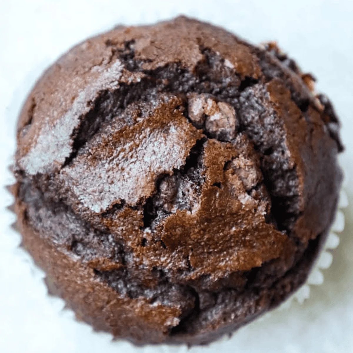 Double Chocolate Chunk Muffins