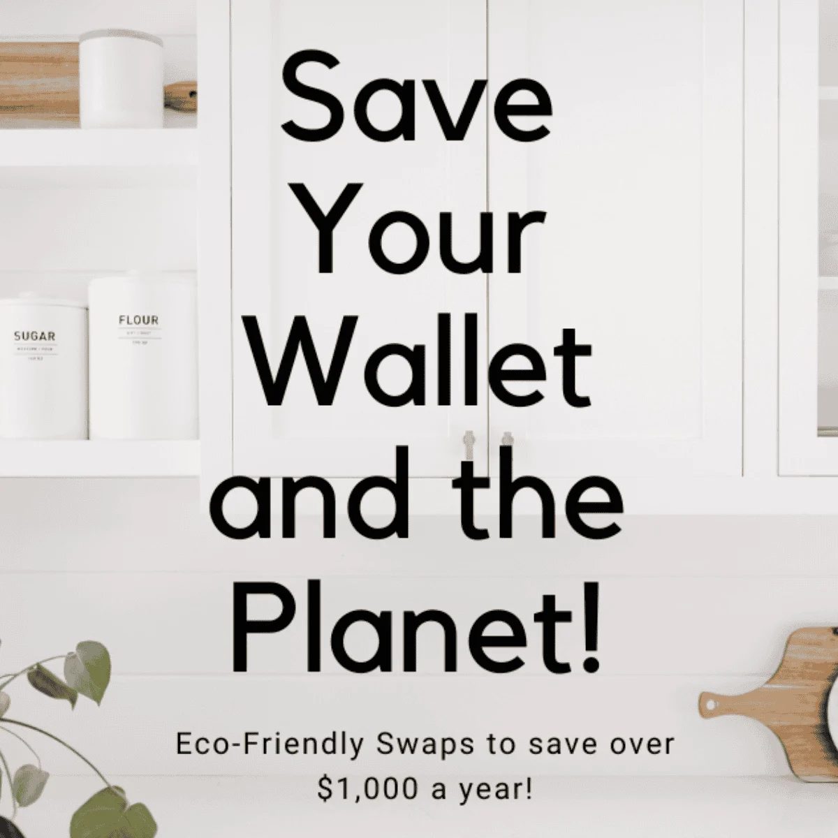 Eco-Friendly Swaps to Save over $1000 a Year!