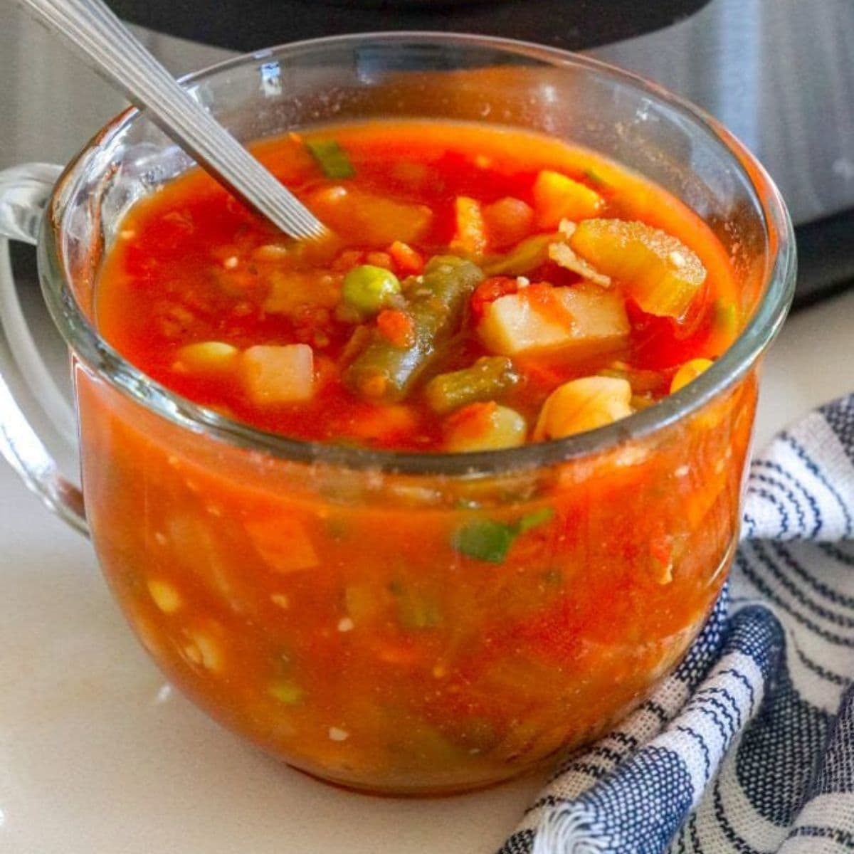 Instant Pot Vegetable Soup