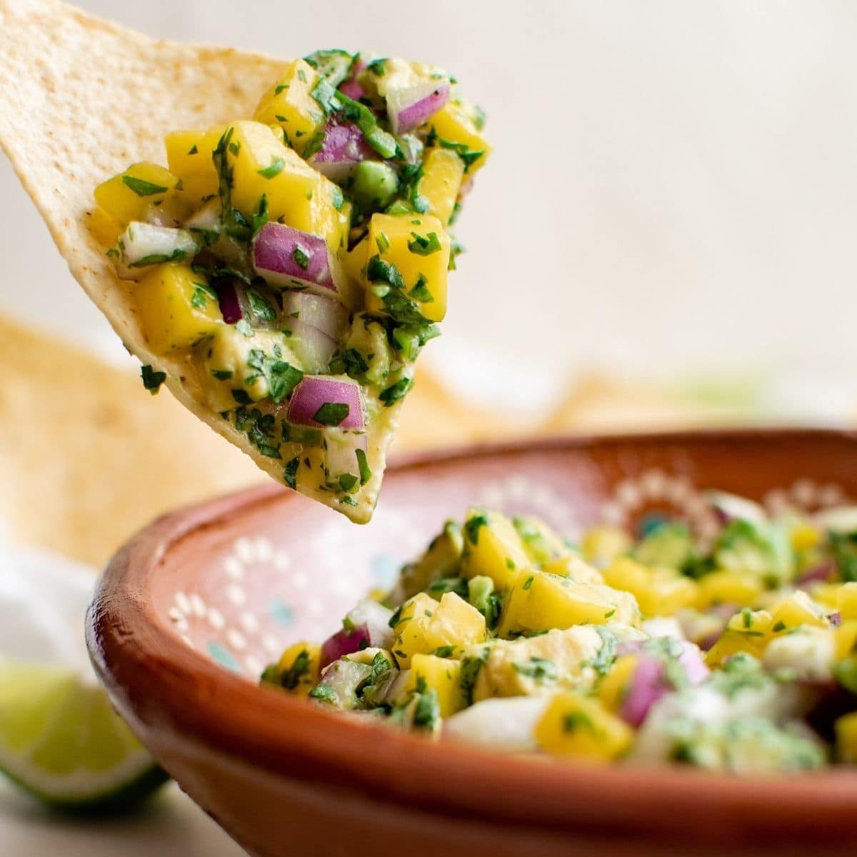 Mango Avocado Salsa