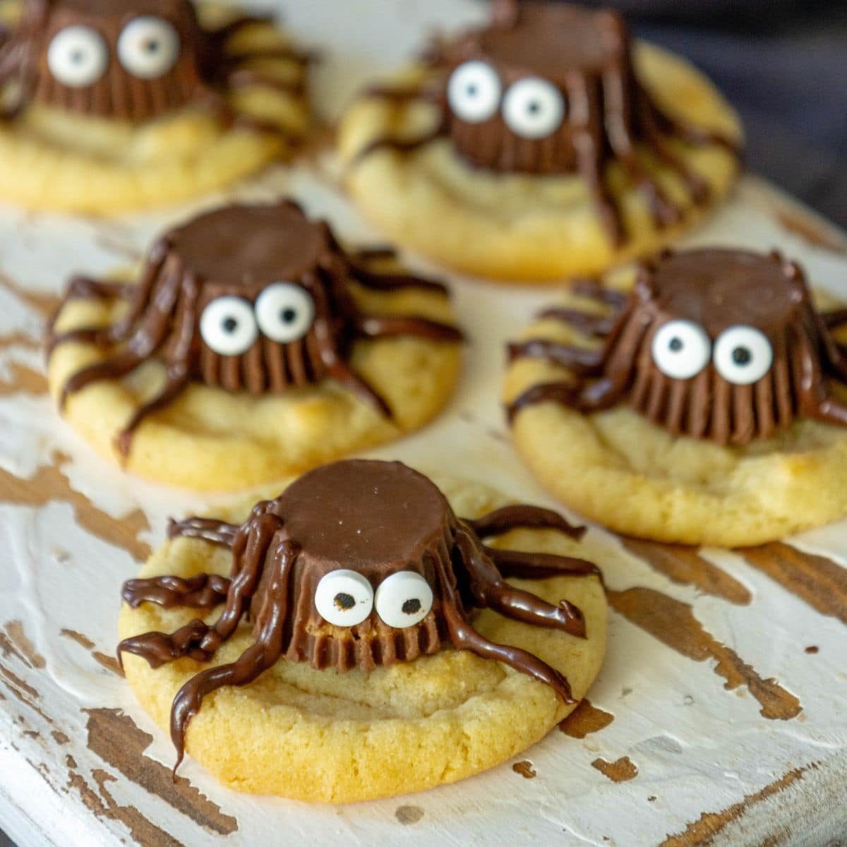 Spider Decorated Cookies