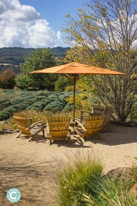 Fall at Matanzas Creek Winery