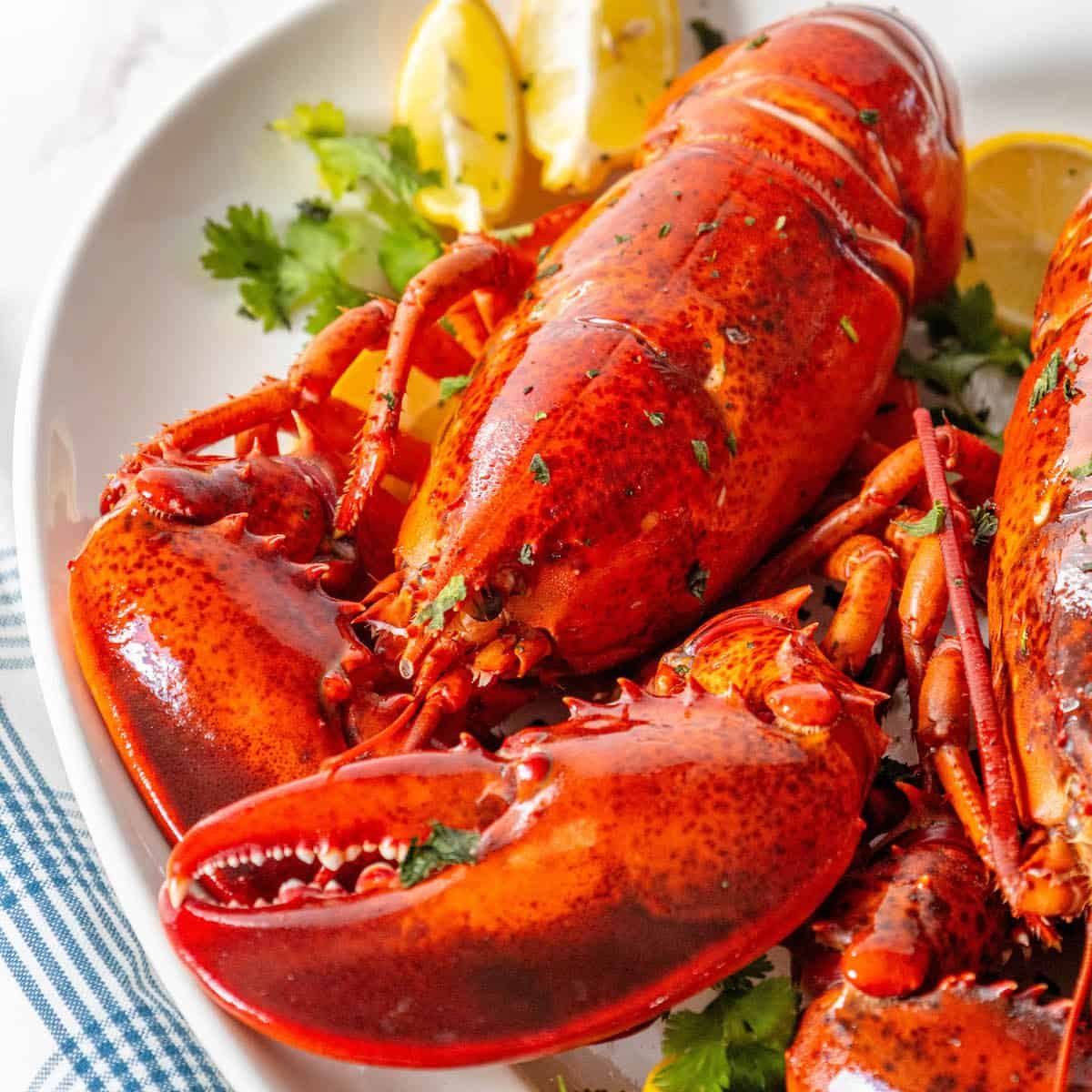Favorite Lobster Recipes