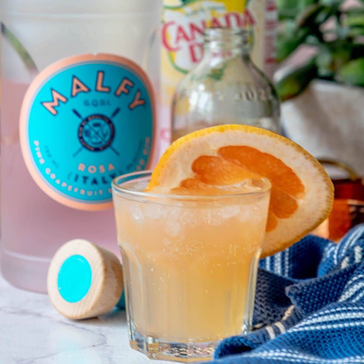 Grapefruit Gin Fizz