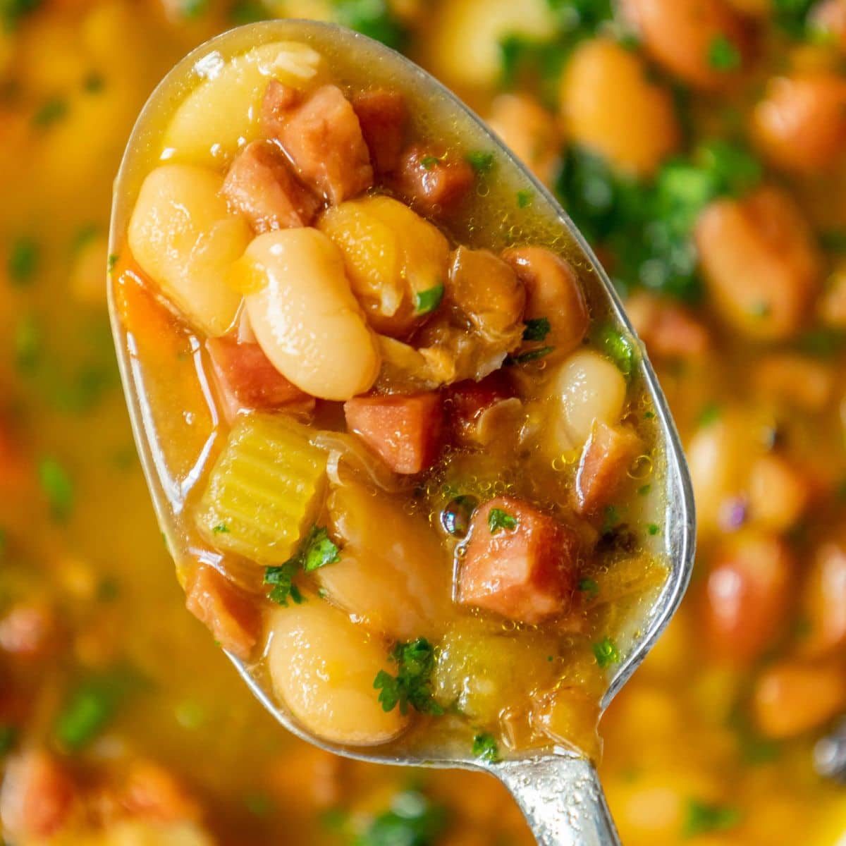 Ham and Bean Soup