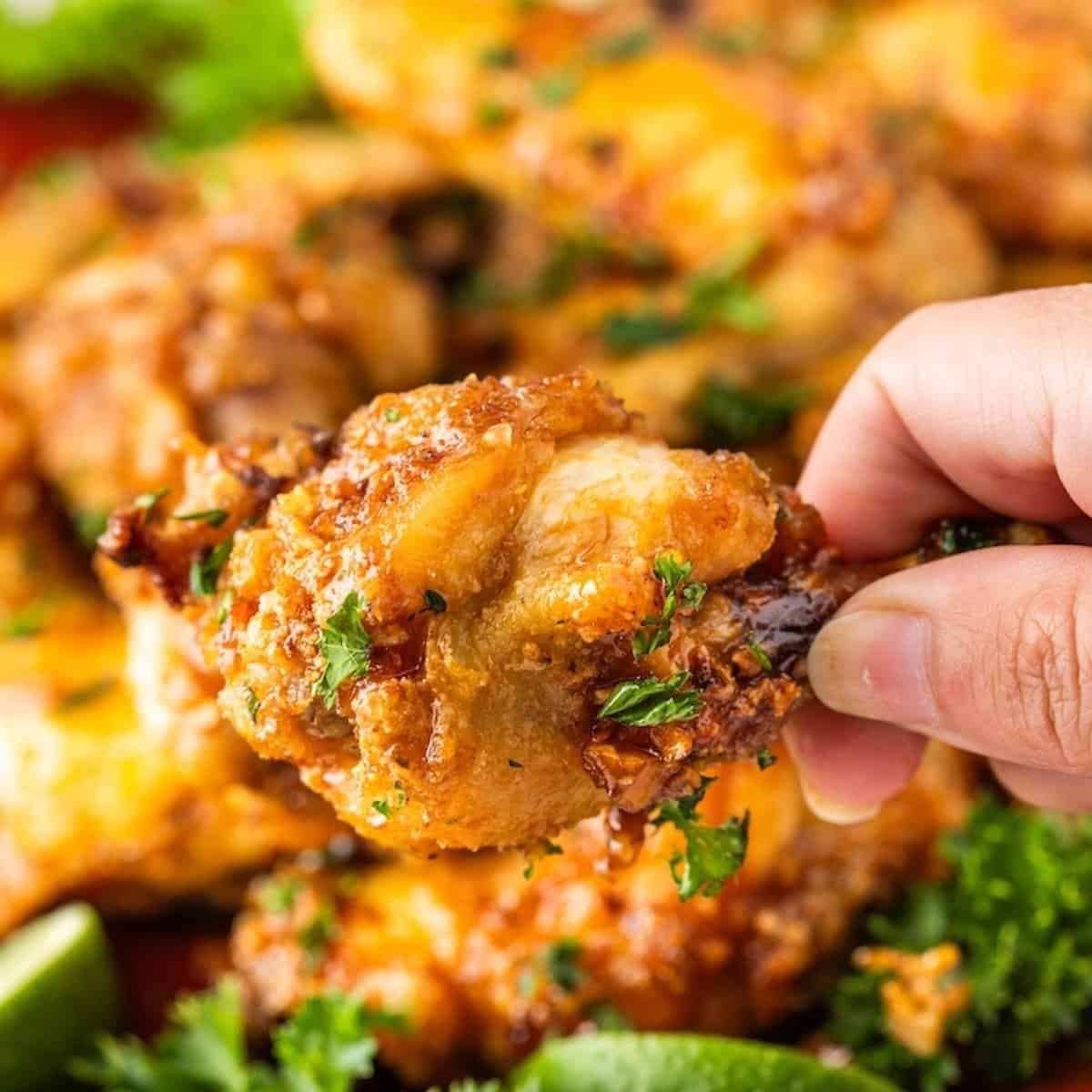 Honey Garlic Wings