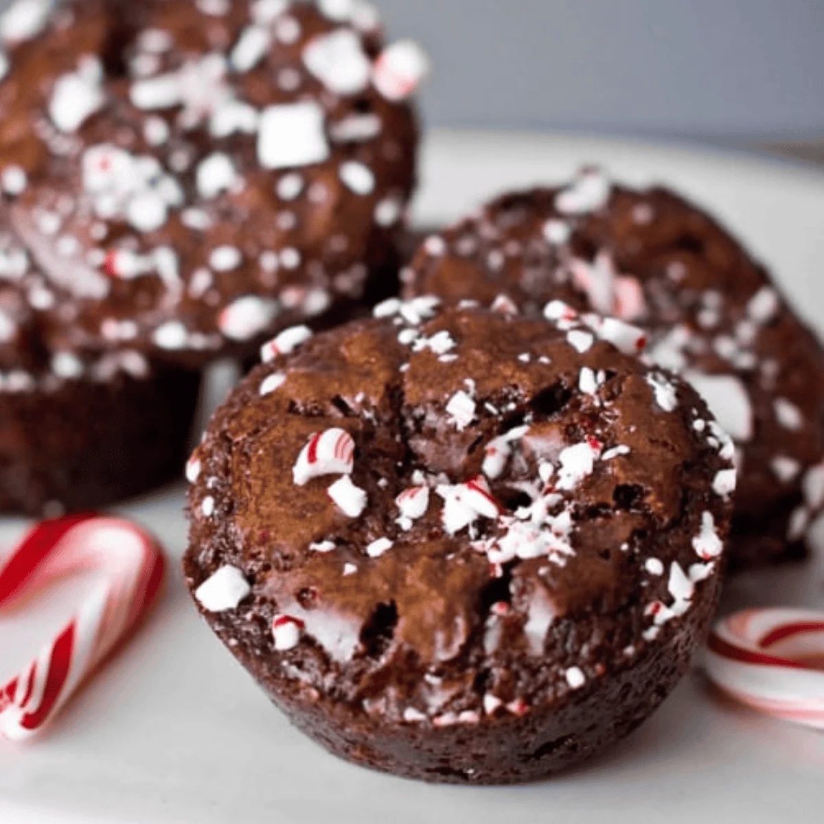 Peppermint Brownie