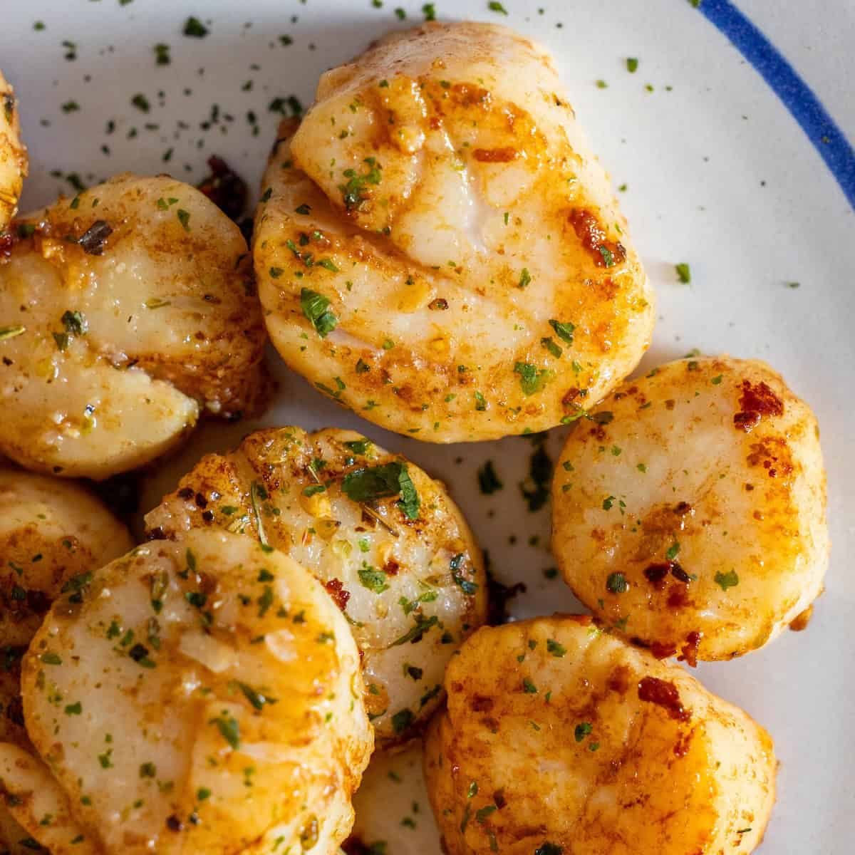 Solid Pan Seared Scallops