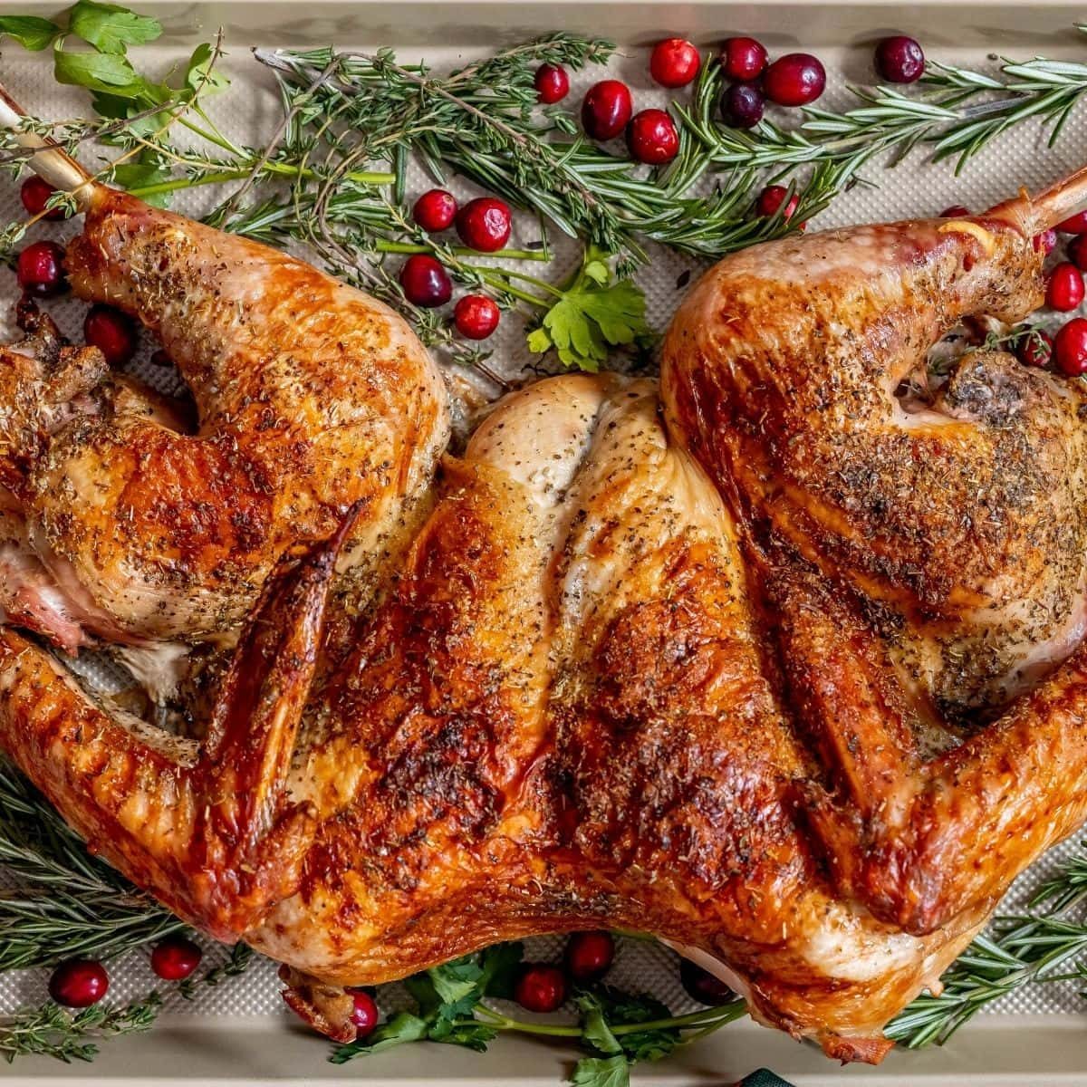 Solid Spatchcocked Turkey