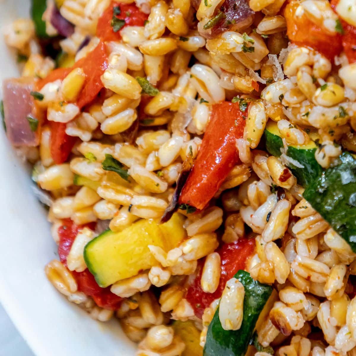 Red Pepper Zucchini Farro Salad