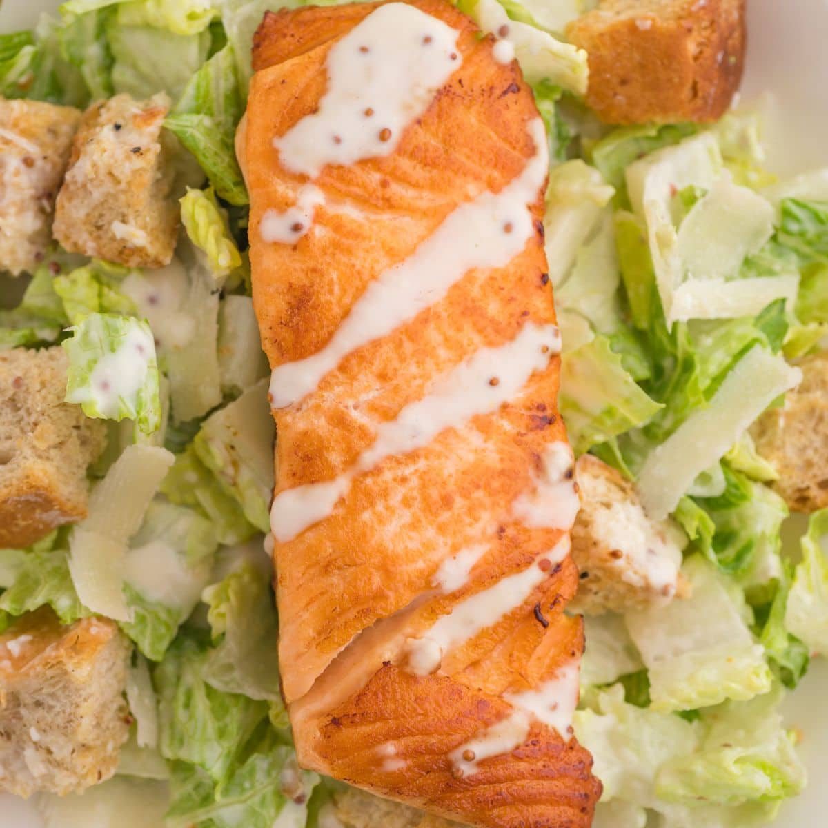 Salmon Ceasar Salad
