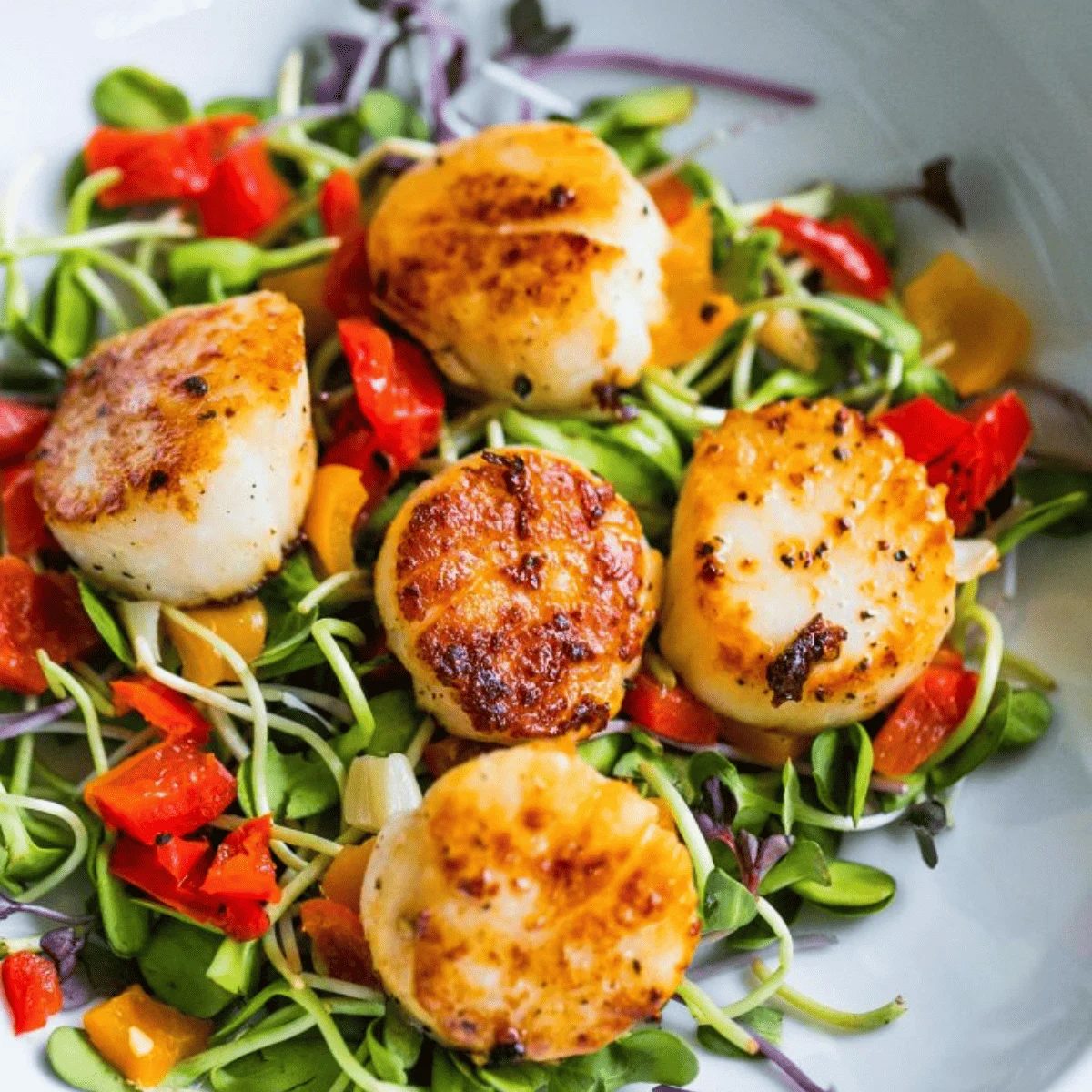 Scallop Pepper Antipasti Salad