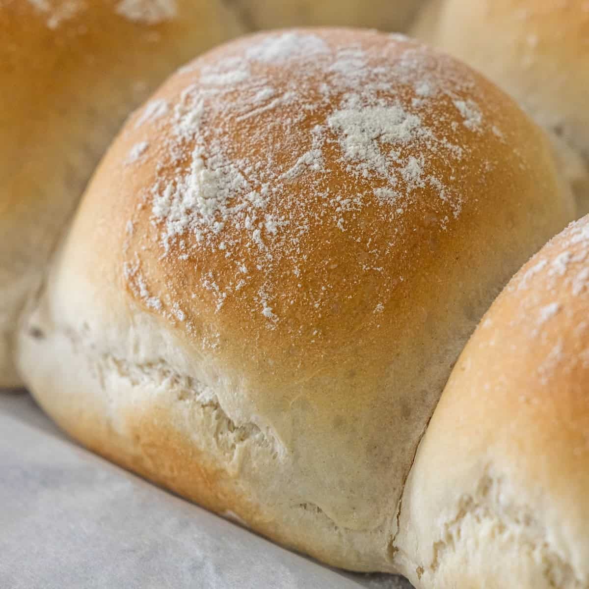 Scottish Morning Rolls