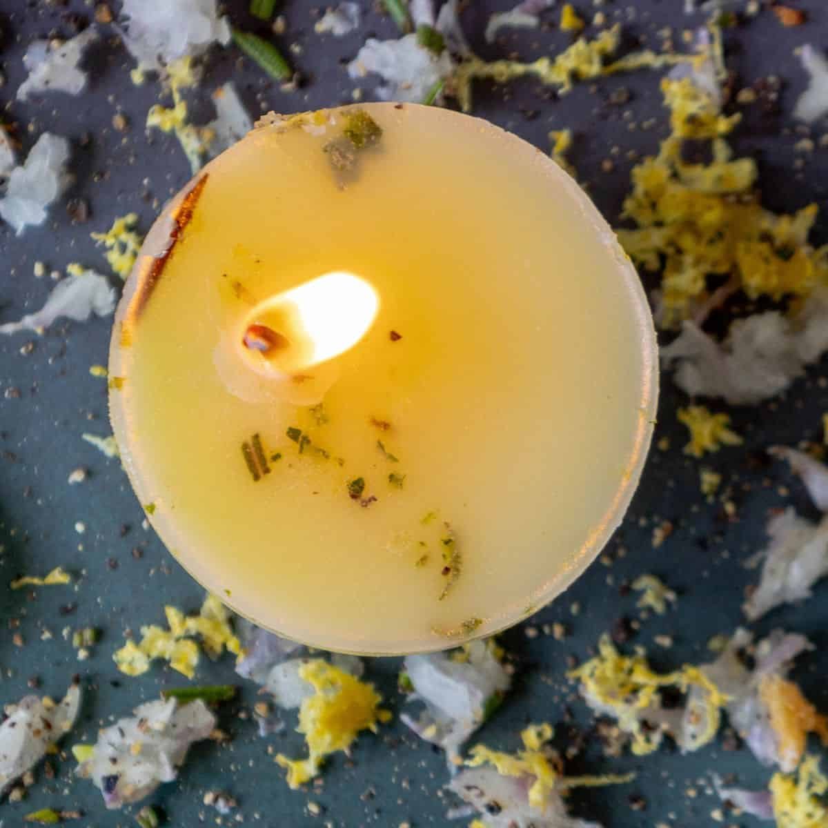 Tallow Candles