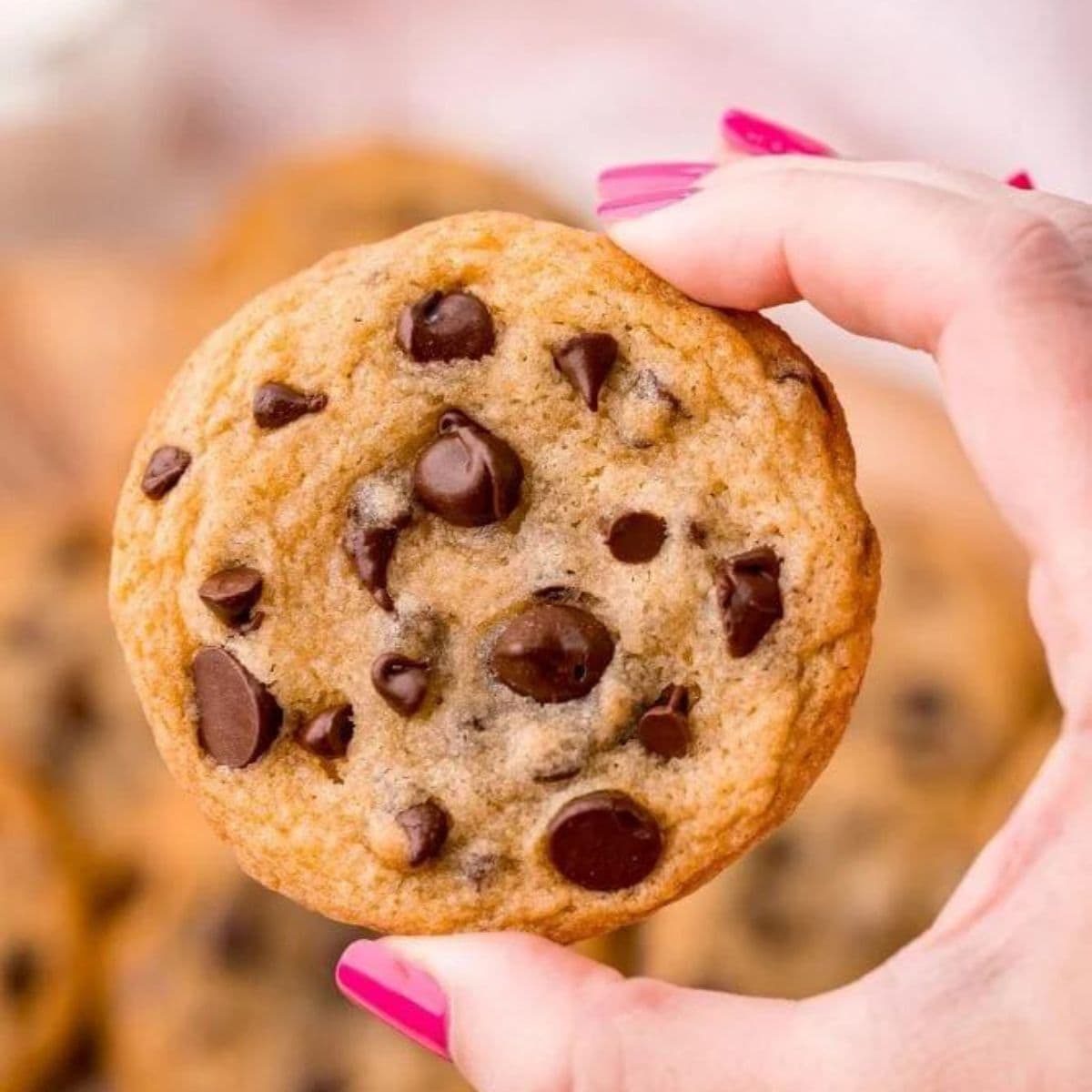 Chewy Chocolate Chip Cookies