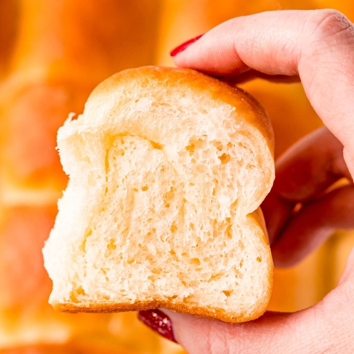 Easy Buttery Soft Dinner Rolls