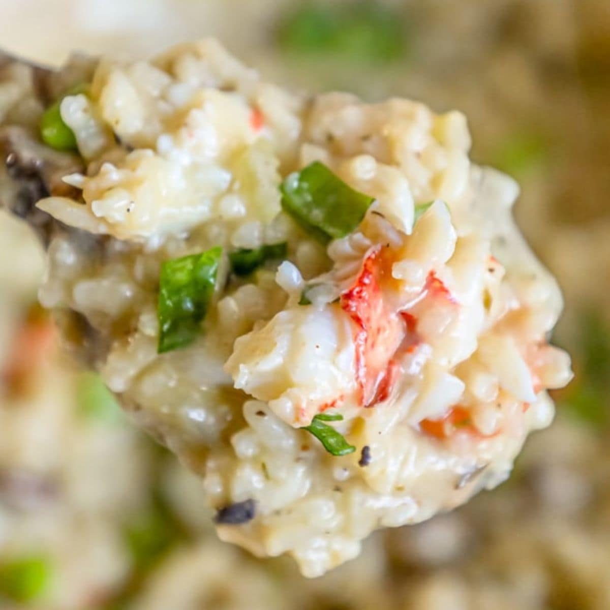 Lobster Risotto