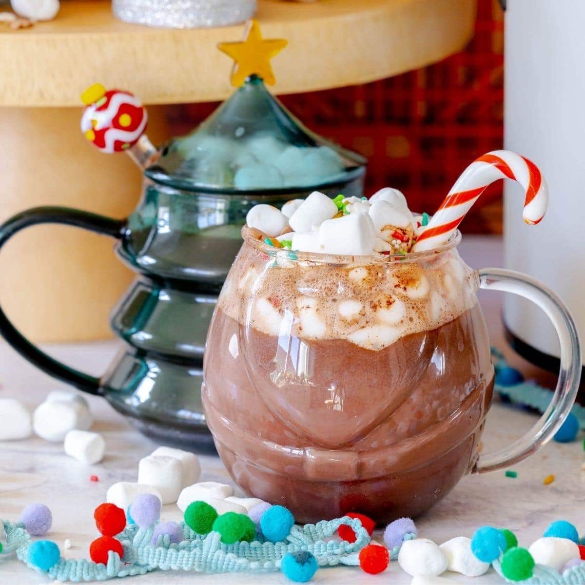 Homemade Slow Cooker Hot Chocolate