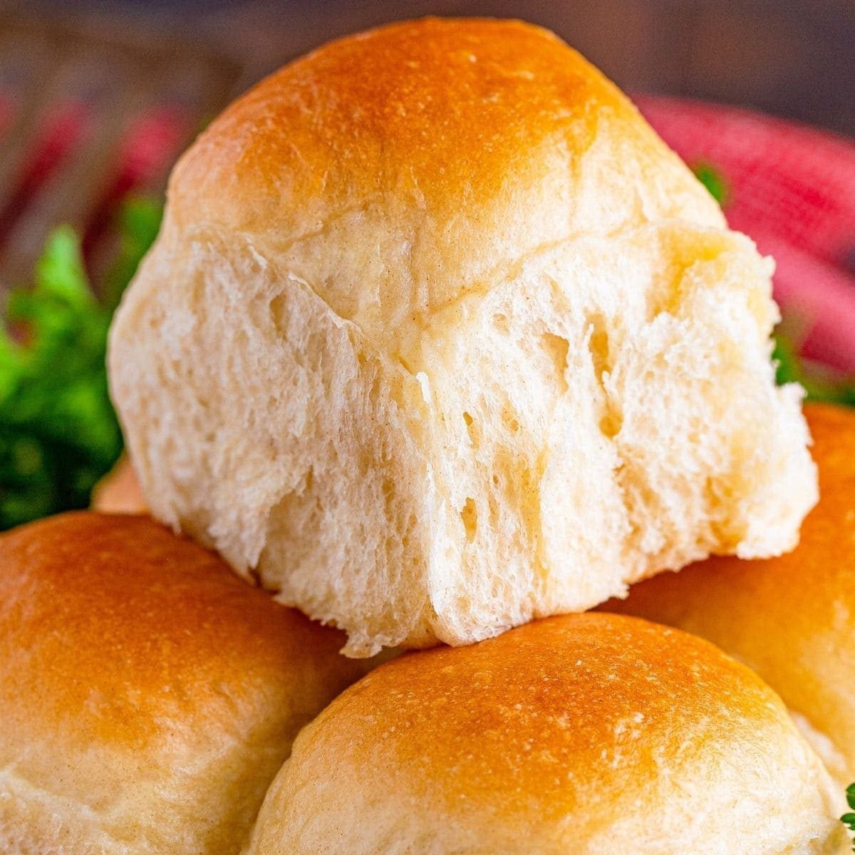 Homemade Yeast Rolls