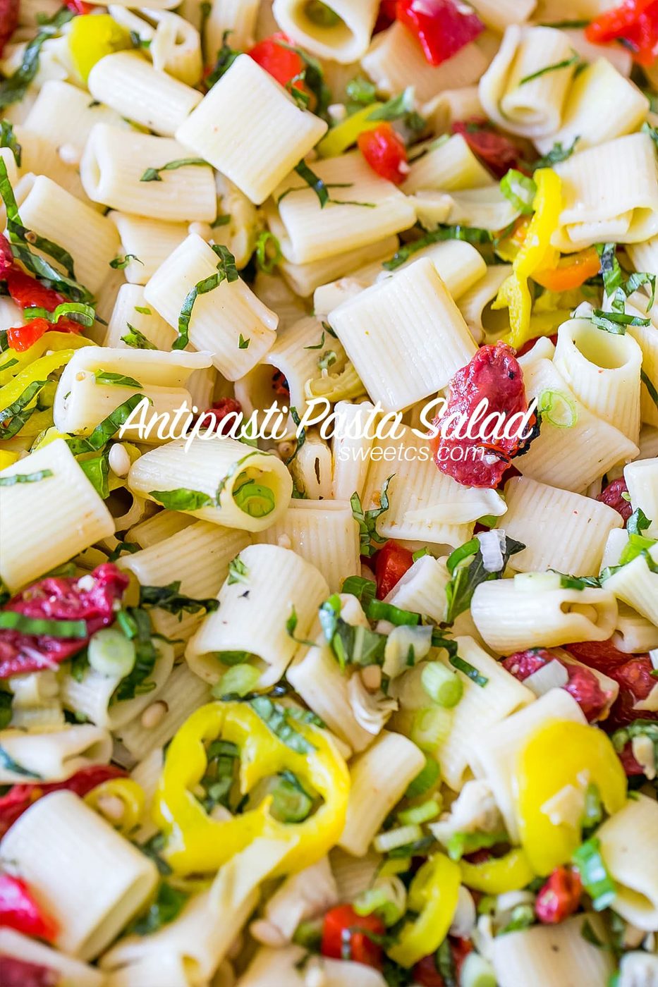 Vegan AntiPasti Pasta Salad