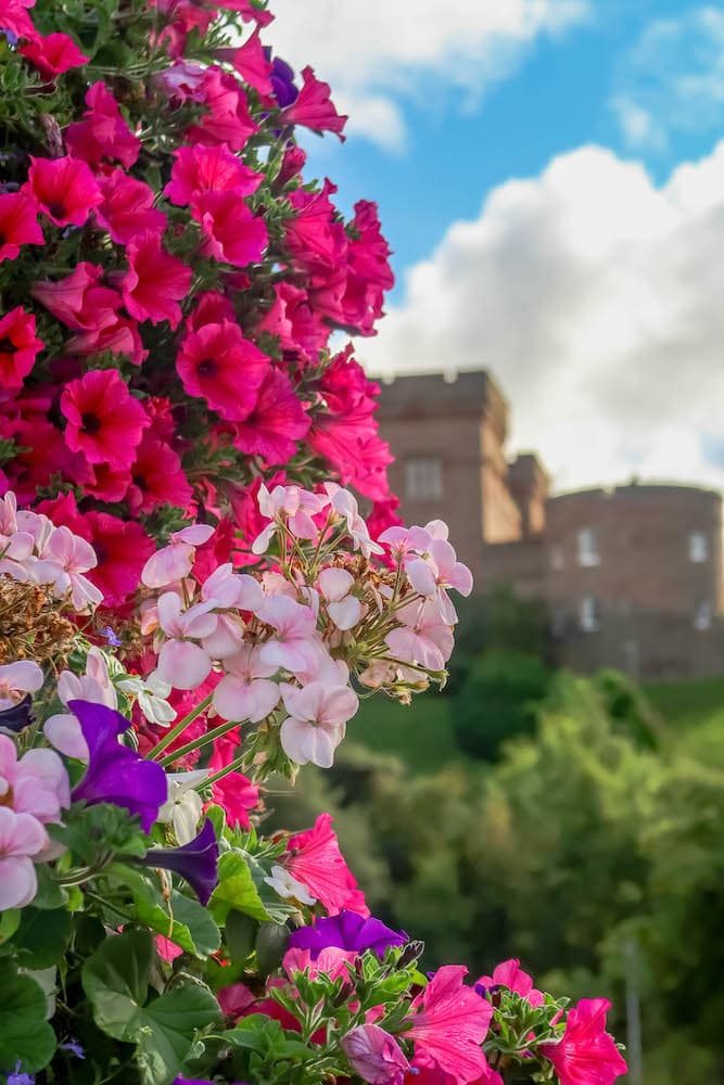 Why To Book a British Isles Cruise